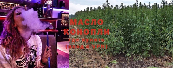 твердый Медногорск