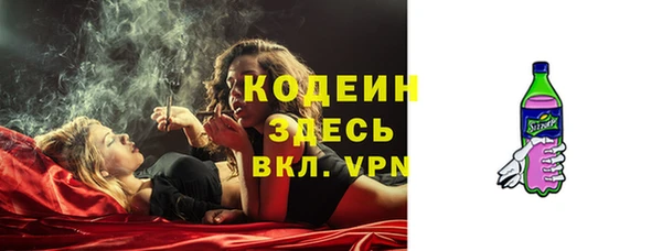 ГАЛЛЮЦИНОГЕННЫЕ ГРИБЫ Медвежьегорск