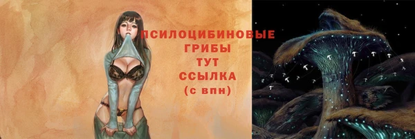 гашик Михайловск