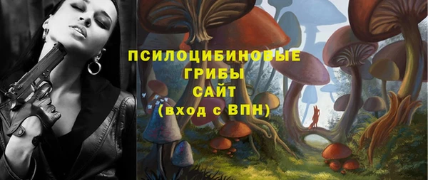 ГАЛЛЮЦИНОГЕННЫЕ ГРИБЫ Медвежьегорск