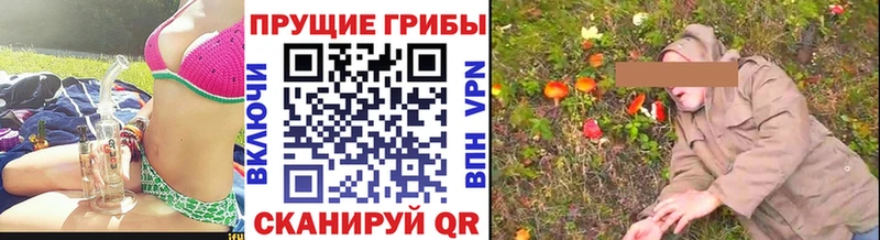 Псилоцибиновые грибы Psilocybe  Купить закладки  Лыткарино 